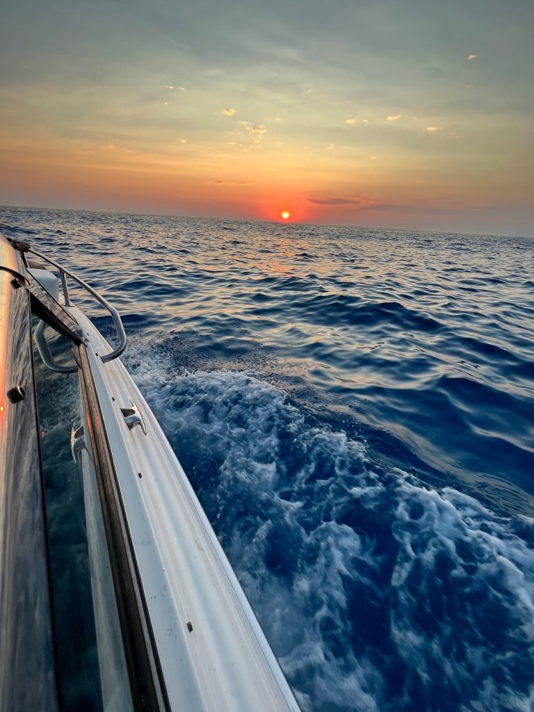 99F22B25-FFE0-479F-BE33-6E91DAF680D8